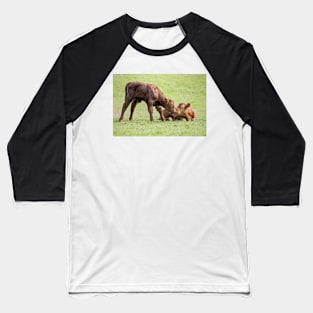 You're either a Purple Cow or you're not. Baseball T-Shirt